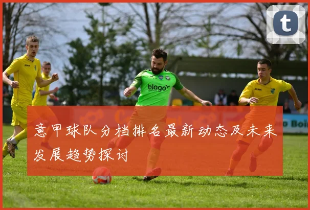 意甲球队分档排名最新动态及未来发展趋势探讨