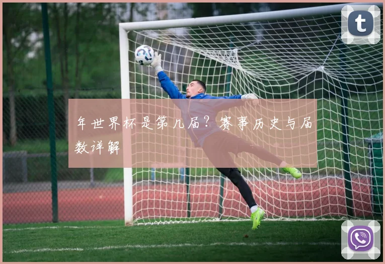 年世界杯是第几届？赛事历史与届数详解