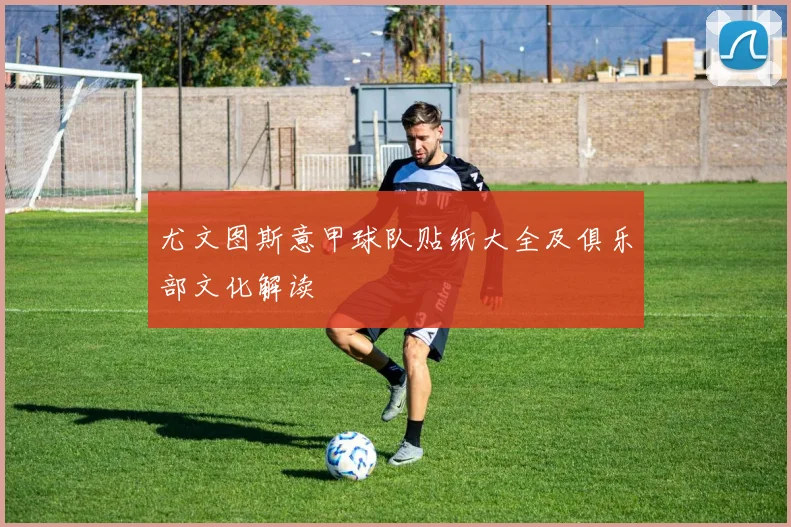 尤文图斯意甲球队贴纸大全及俱乐部文化解读